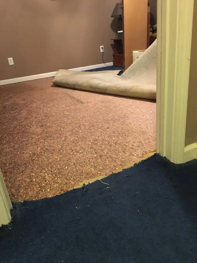 Carpet pad removal revealing water damage during Water Mitigation Services in Winthrop Harbor
