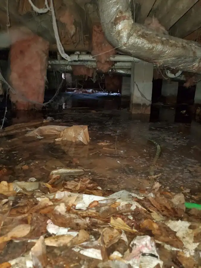 Crawl space flood assessment for Commercial Water Damage Restoration in Winthrop Harbor