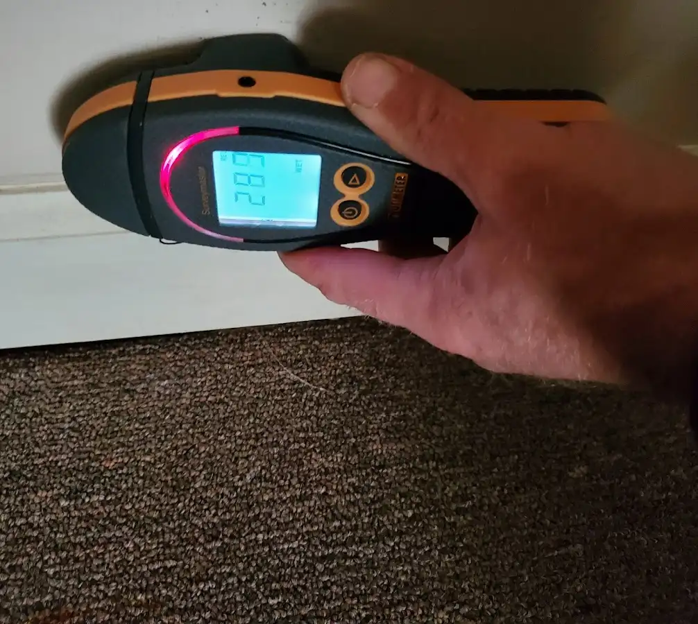 Moisture detection at baseboard during Sewage Cleanup & Sanitation in Winthrop Harbor